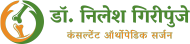 Dr. Nilesh Giripunje-min 1